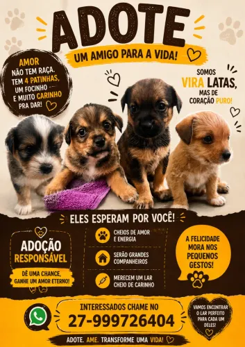 Doação filhotes