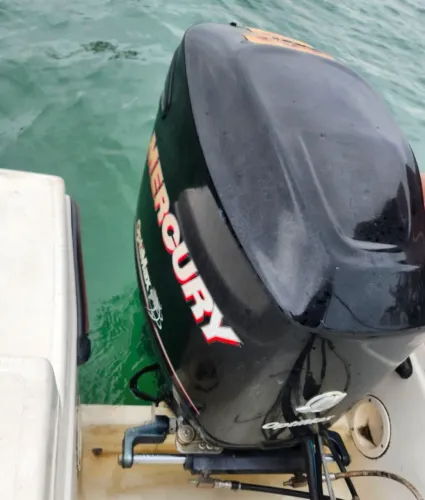 Mercury opitimax 150hp