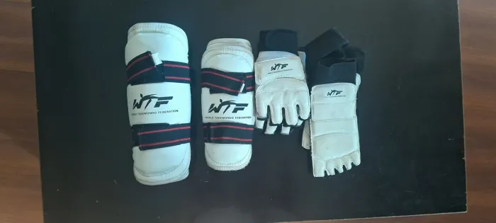 Kit Proteção Taekwondo Oficial WTF Completo (Luvas, Canela, Antebraço, Pé) - Tam G