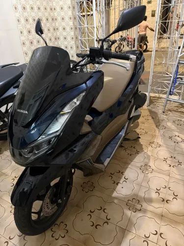 Pcx lindíssima 