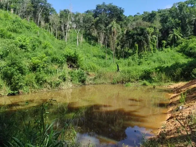Ótima oportunidade! Terreno Rural em Dom Joaquim!! 39,98 hectares.