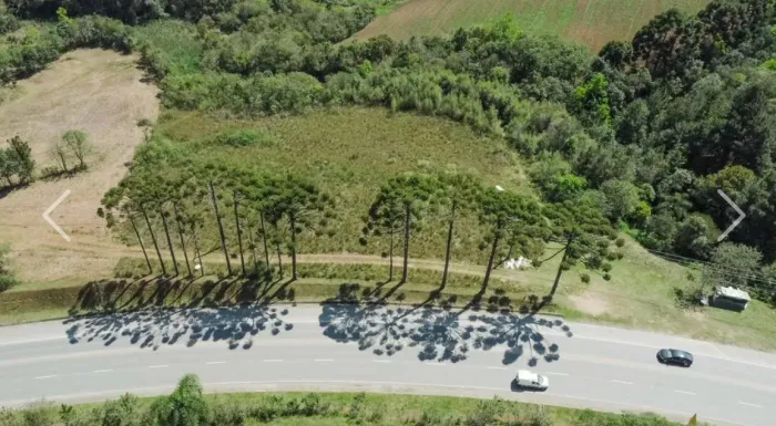 Terreno comercial Continuação da Manoel Ribas