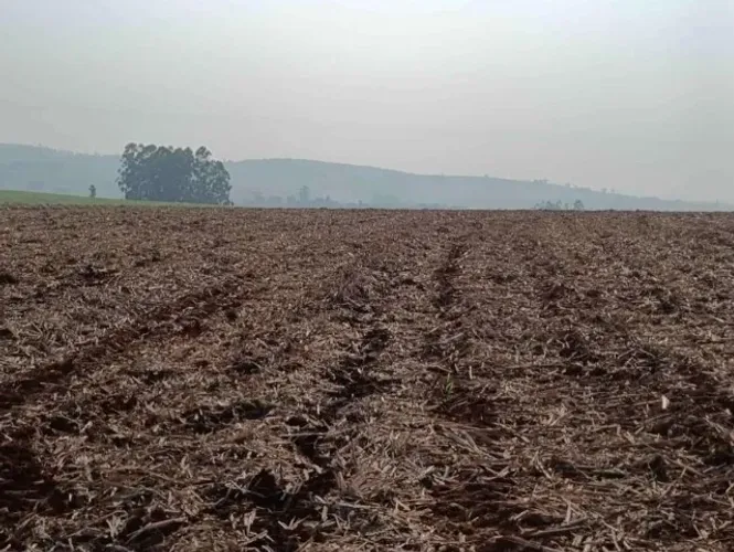 Itapetininga Região Fazenda 101,64 Hectares