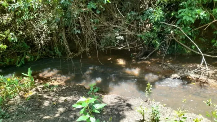 Chácara  Abadiânia Velha, 1/2 alqueire só R$ 700mil 