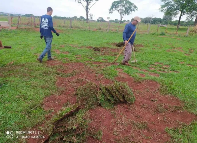 GRAMAS JA PLANTADAS, MUDAS  E TAPETES !