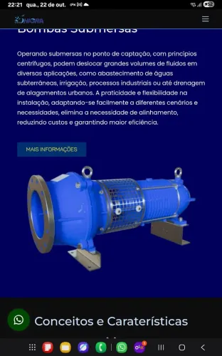 VENDO 2 BOMBAS NOVA SEM USO PARA IRRIGAÇÃO MARCA HIGRA 