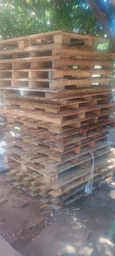 Paletes de eucalipto