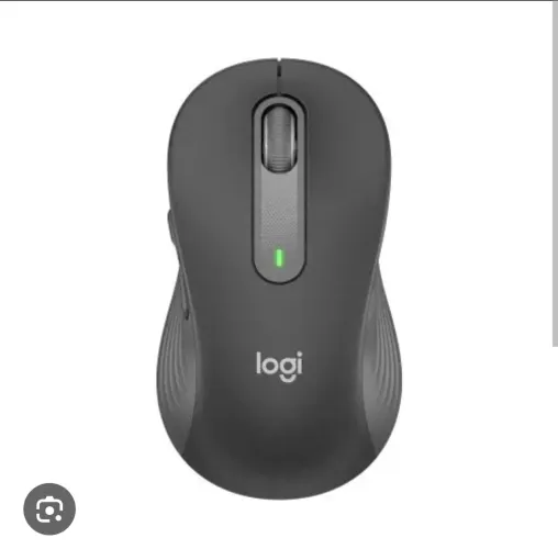 Mouse signature original