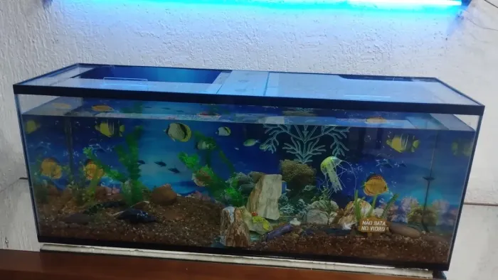 Aquário 120 Litros, Semi Novo
