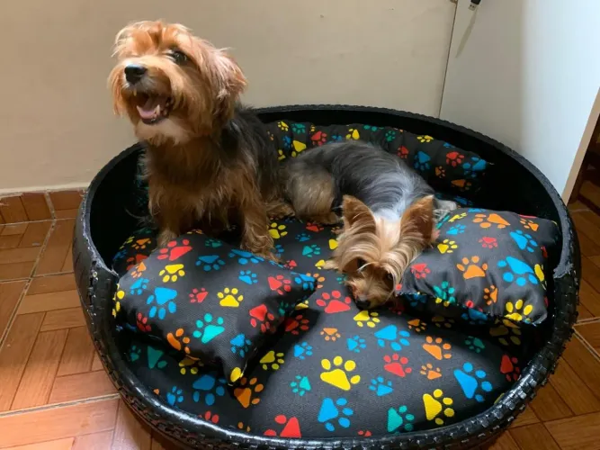 Cama para cachorro feita de pneu