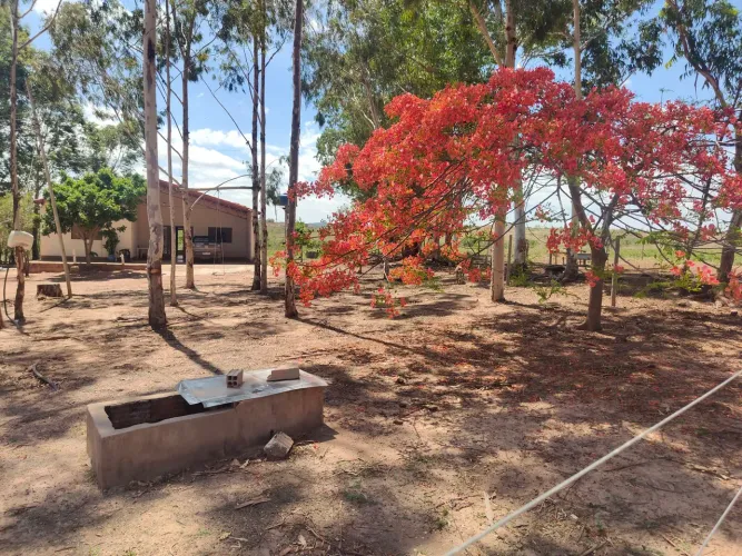 FAZENDA COM 100HECTARES PLANA, ÓTIMO PREÇO!!