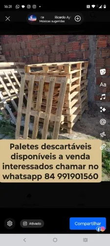 Pallets descartáveis 