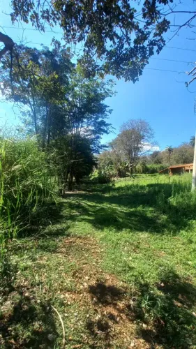 Sítio à venda - 110.000m² - São José da Bela Vista - SP.