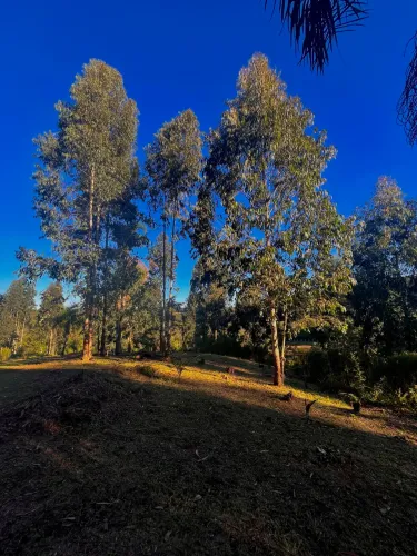 Terreno de Chácara em Campo largo | 70 mil de entrada e restante parcelado sem juros