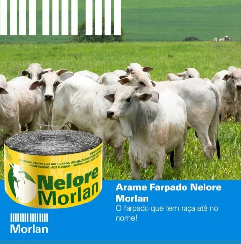 Arame farpado Nelore 500mt 