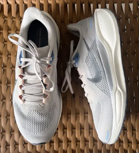 Tênis Nike pegasus 41 cinza