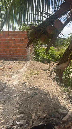 Terreno na Sapiranga