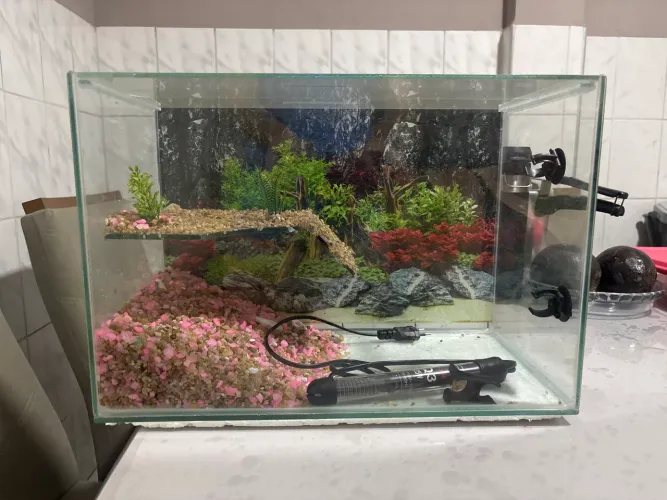 Vendo aquário decorado largura 45x30 altura 22 largura cm