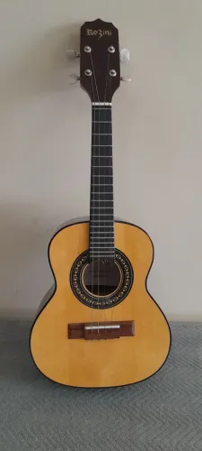 Cavaco Rozini