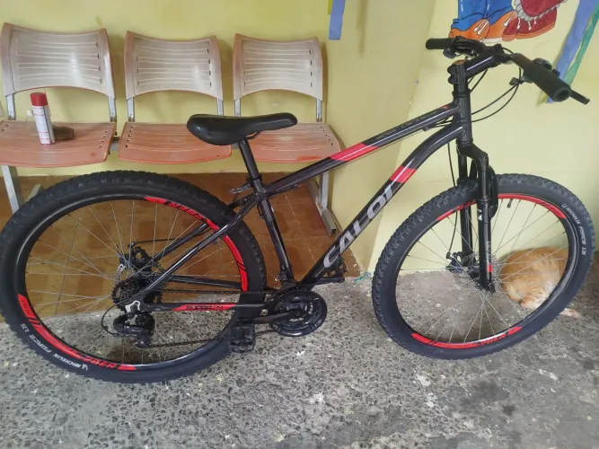 BICICLETA ARO 29