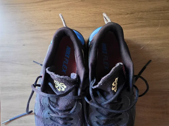 Nike Flex Run 2021