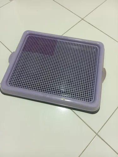 Sanitário pet Pratic Pipi, o banheiro do cão 