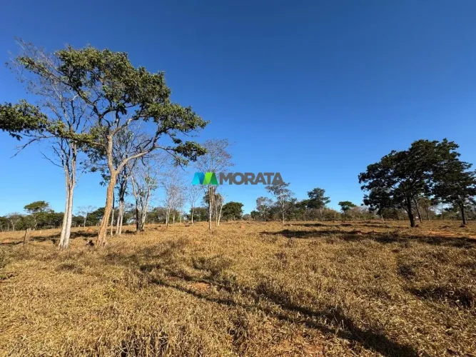 FAZENDA À VENDA - 235 HECTARES - BALDIM (MG)