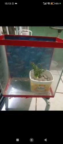 Aquário para peixes