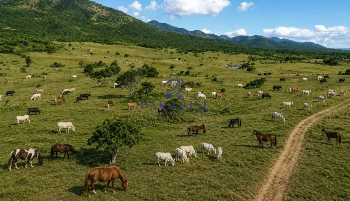 Fazenda, Palmira, Itaju do Colônia - R$ 20 mi, Cod: 69028