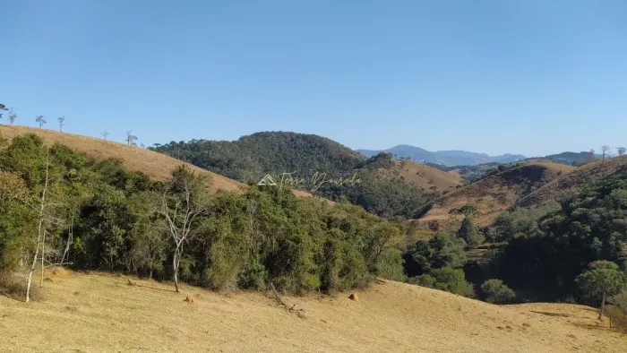 Terreno Exclusivo em Santo Antônio do Pinhal - SP para venda