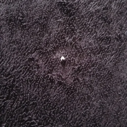 piercing em aço inox com pedrinha brilhante 9mm. ideal para perfurações no sépto