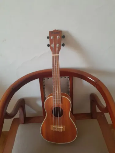 Ukulele focus