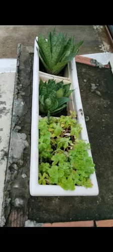 Jardineira com plantas em fibra