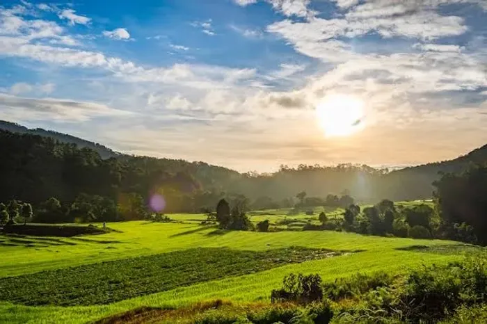 Vendo sítio em Santa Maria - Distrito de Alto Paraná PR