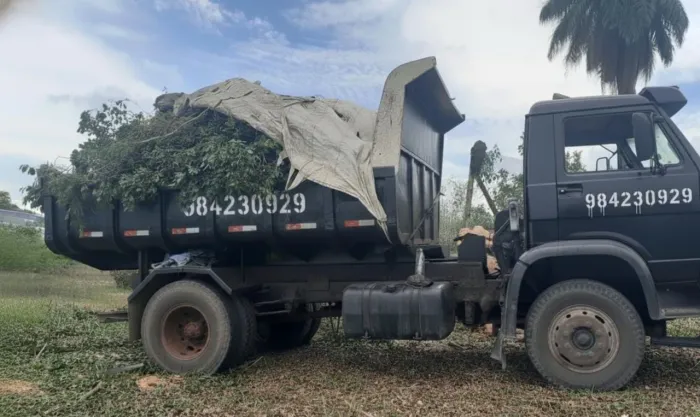 Entulho com ajudantes Caçamba disk entulho caixa caminhão de lixo coleta de lixo remoção 