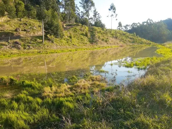 Terreno rural com 10 hectares em Lageado Águas Negras - Ituporanga - S.C