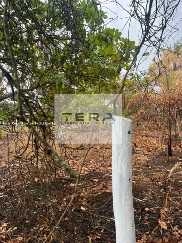Chácara para Venda em Bela Vista de Goiás, Barreiro Vermelho