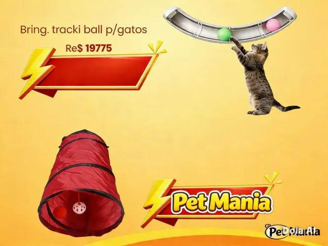 Túnel brinquedo gato