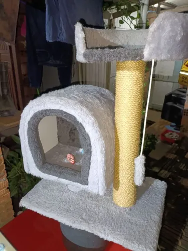 CASINHA DE GATOS
