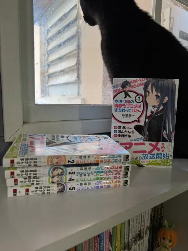 Mangá Japonês Yahari Ore no Seishun Love Comedy wa Machigatteiru