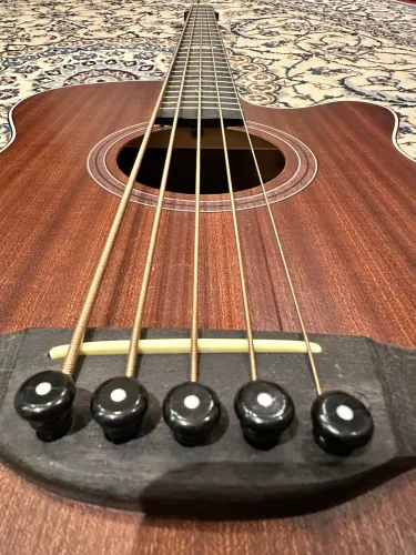 Baixolão Eletroacústico Strinberg 5 cordas R$1.100,00 Praticamente sem Uso