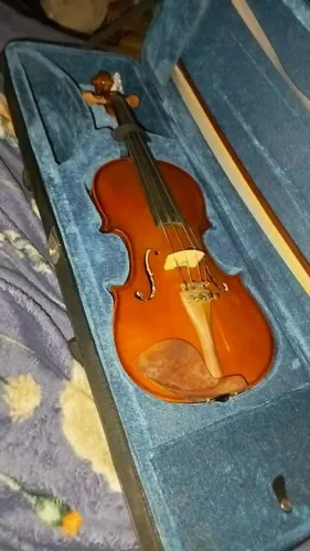 violino Eagle 4/4 v441