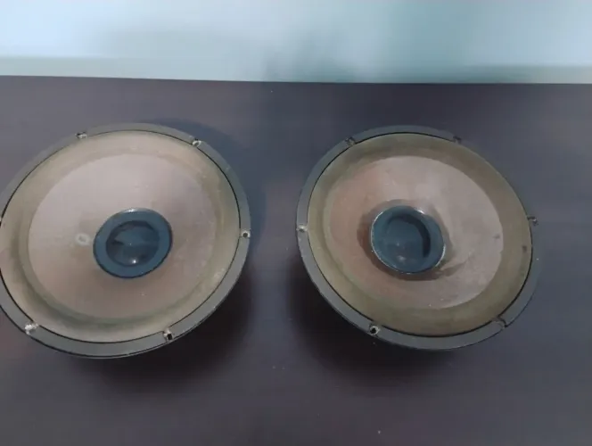 Philips par de alto falante 10 polegadas 8ohms