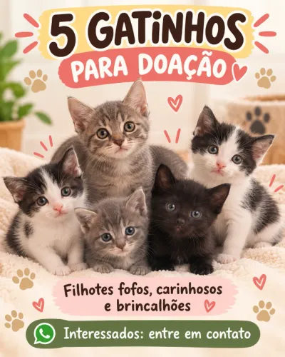 Doo 4 gatinhos. tinha 5