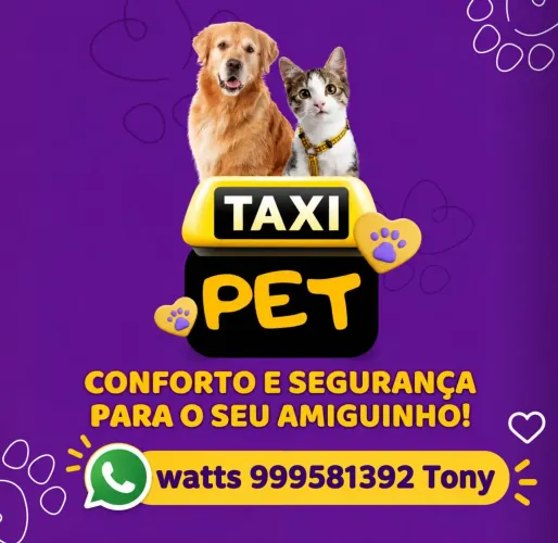 Transporte de pets, táxi de animais