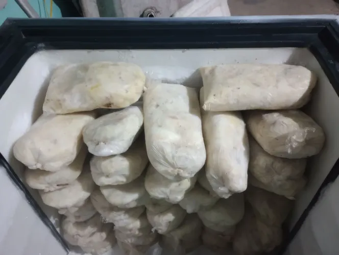 Polpa de bacuri