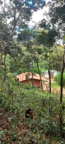 Vendo. Fazendinha em piracema