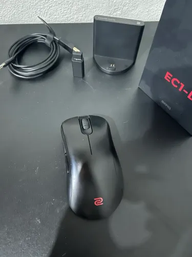 Mouse Zowie EC1-DW