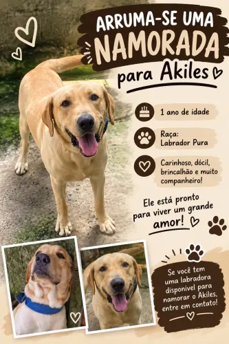 Arruma-se uma namorada para akiles?