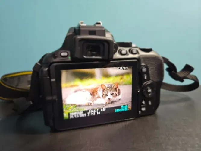Nikon D5500 + Lentes Nikkor 18-55mm e 50mm
